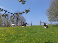 PHOTO-2024-06-30-22-48-49